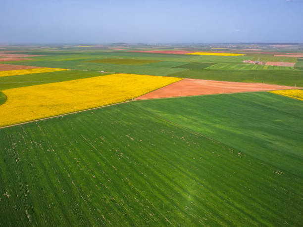 istock Agricultural fields in Villanueva de los Caballeros 1493830306