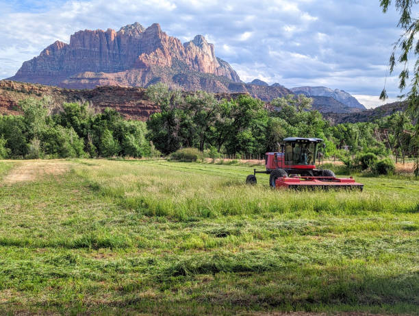 istock Cutting first hay crop in Rockville Utah late spring 2023 1493834792