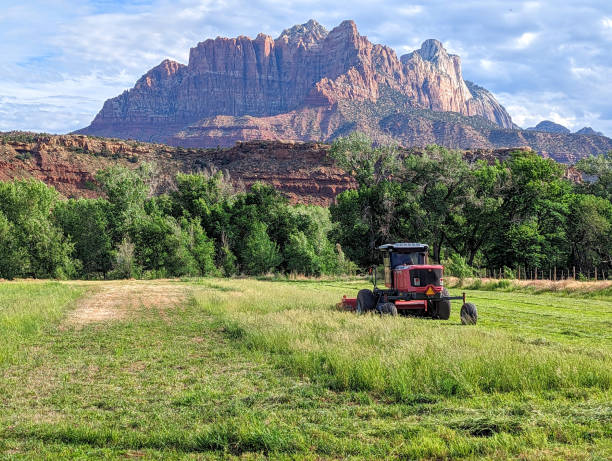 istock Cutting first hay crop in Rockville Utah late spring 2023 1493834793