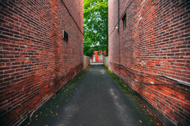 istock East Rock district, New Haven, CT 1493838376