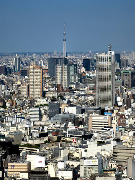 istock Cityscape from skyscrapers in Shinjuku, Tokyo, Japan 1493839607
