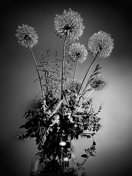 istock a bouquet of flowers in a jug 1493846481