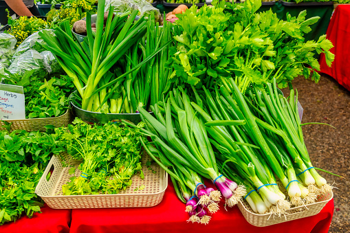 Farmer's market stall in spring - fresh herbs and spring onions