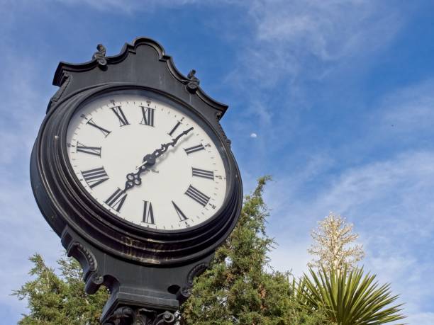 istock Clock tower and yucca plant against a blue sky in Alpine Texas 1493850648