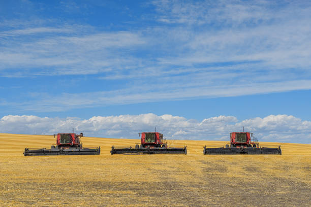 Three combine harvester sitting in a field with a cloudy blue sky, Alberta, Canada