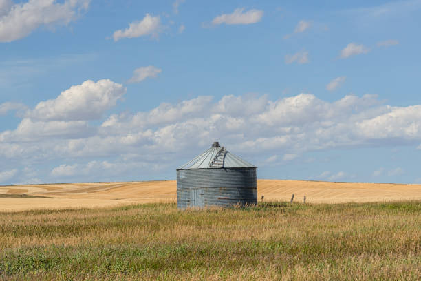 istock Grain silo in the prairie with cloudy blue sky 1493853471