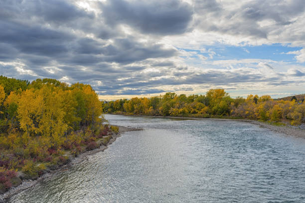 istock Autumn landscape of the Bow river in downtown Calgary 1493853492