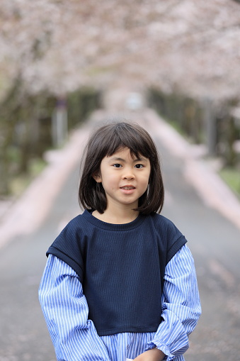 Japanese student girl and row of cherry blossom trees (8 years old)