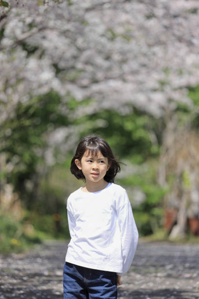 istock Japanese student girl and cherry blossoms (8 years old) 1493853883