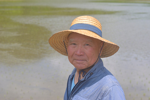 A farmer stands in a paddy field with a smile