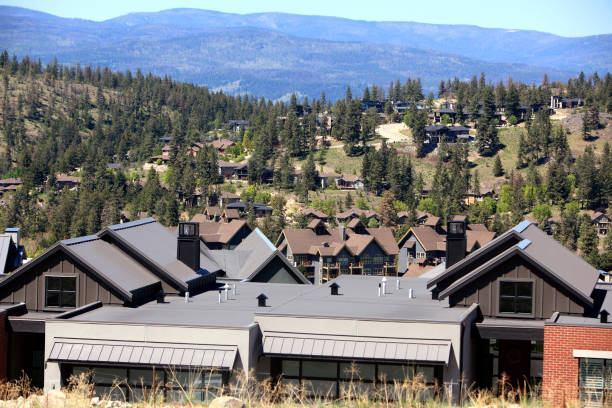 istock Variation Of Modern Residential Rooftops 1493862665