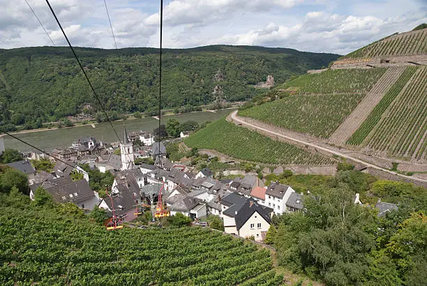 chairlift and ponorama view of assmannshausen green vineyards