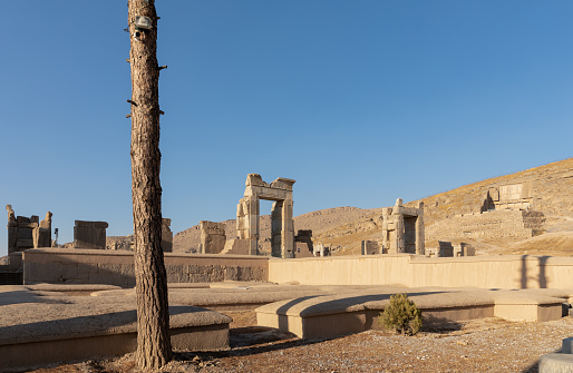 Ruins of Hall of 100 Columns viewed from Queen's Quarters in Persepolis, founded by Darius the Great in 518 BC and capital of ancient Achaemenid Empire, 60 km northeast of Shiraz, Iran.