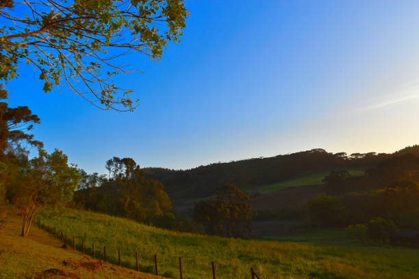 istock landscape at dusk in Santa Catarina 1493884691