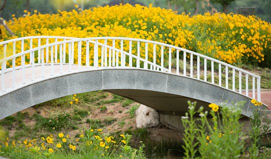 The small bridge was surrounded by brooming fowers.