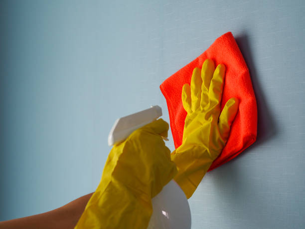 istock cleaner use a cleaning cloth on the wall with blue wallpaper 1493891318