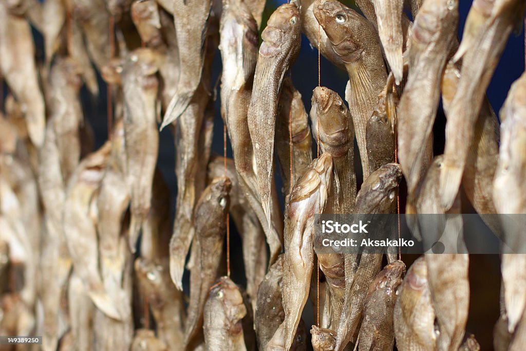 Peixe seco no Mercado - Royalty-free Animal Foto de stock