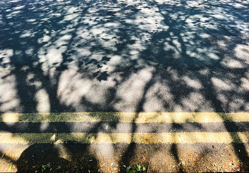 Tree shadows and double yellow lines