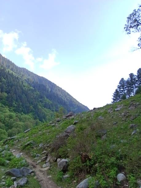 istock Green lush mountains of Kashmir 1493908480