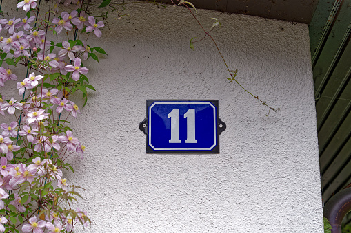 White facade of apartment building with close-up of beautiful pink Clematis flowers with dark blue house number sign elven. Photo taken May 11th, 2023, Zurich, Switzerland.