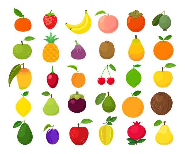 ilustraciones, imágenes clip art, dibujos animados e iconos de stock de gran conjunto de iconos de frutas ilustración vectorial - plum grape fruit clip art