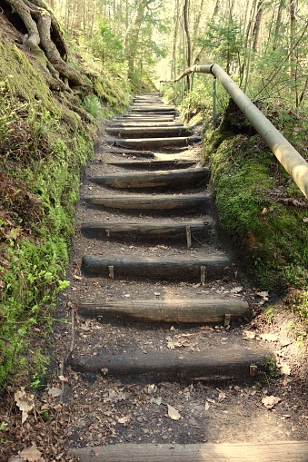 Wooden stairs in the forest are leading upwards seamed by moss covered stones and the wooden railing in a spring scenery in the famous Schwarzachklamm