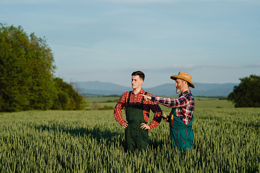 Two farmers working together in the agricultural field