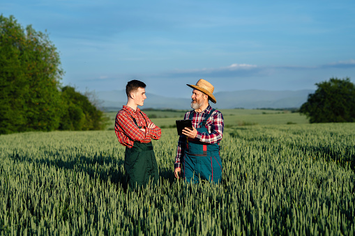 Two farmers working together in the agricultural field