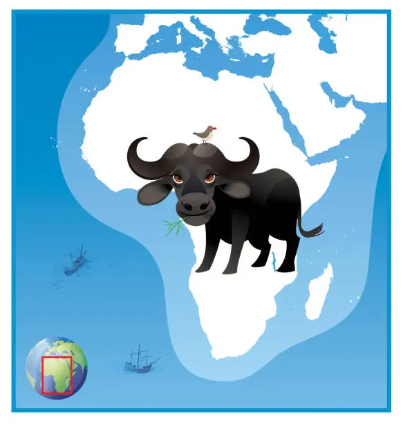 Vector illustration of African buffalo, Cape Buffalo