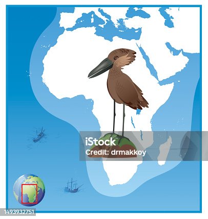 istock Hamerkop, Scopus umbretta in Africa Map 1493932751