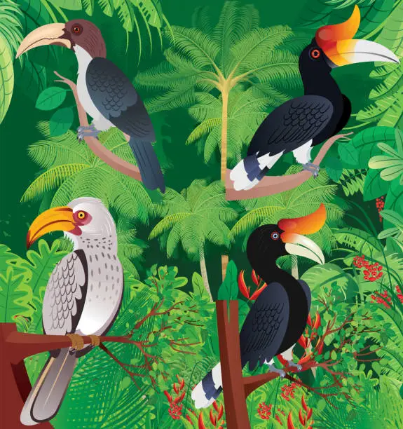 Vector illustration of Hornbills in the tropical Forest