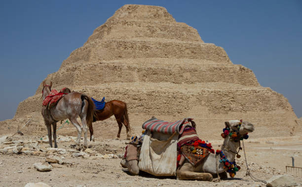 istock Pyramid of Saqqarah 1493933230