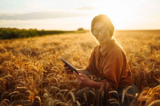 istock Farmer woman in a wheat field 1493936289
