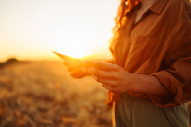 istock Farm owner with tablet in her hands in wheat field. 1493937240