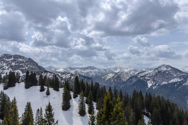 istock Majestic Snow-Capped Pine Wilderness in Bavarian Alps 1493944393