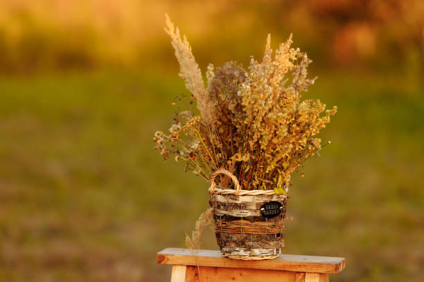 Dried flowers in a vase from a basket on a wooden stand against a blurred background of a field flooded with sunset light.