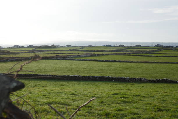 istock Kilkee, Clare, Ireland 1493946826