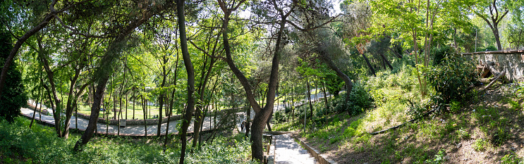 Macka Democracy Park is a recreational area in Istanbul, Turkey, which has paths for jogging, walking and dog walking. Istanbul, Turkey - May 26, 2023.