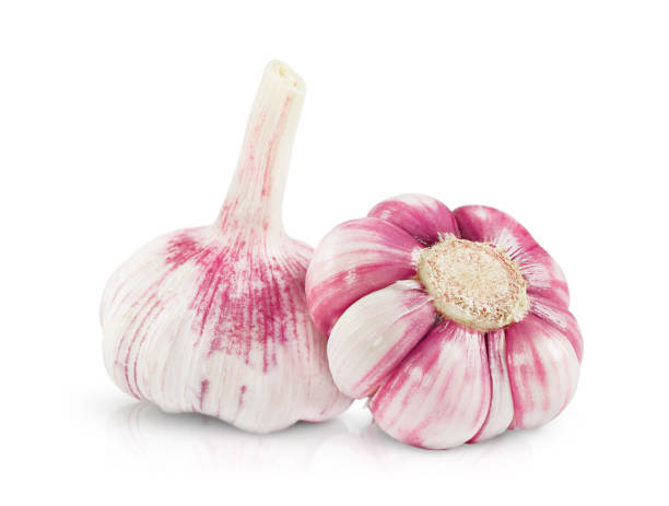 istock two fresh garlic heads are highlighted on a white background 1493953729