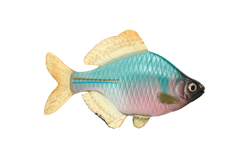 Painted plastic fish in isolated white background. Clipping path included.