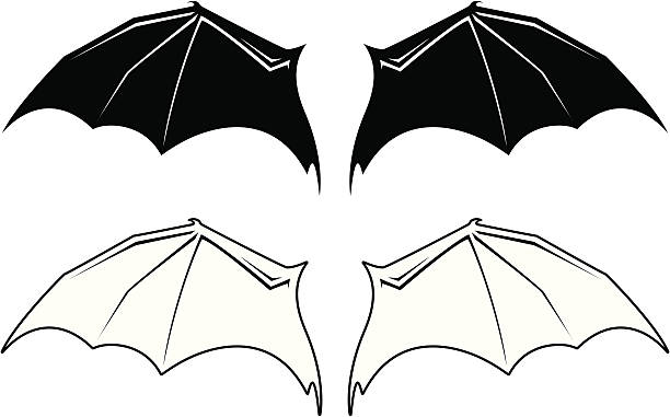 ilustrações de stock, clip art, desenhos animados e ícones de asas de morcego - bat animal flying mammal