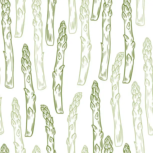 Vector illustration of Green fresh asparagus pods seamless pattern, vector illustration