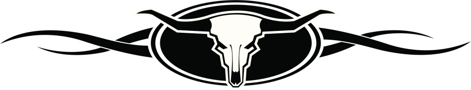 This is a simple, simple (like way less than ten credits simple) vectored image of bull's skull.
