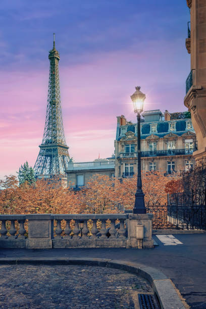 istock Eiffel Tower in Paris City 1493957892