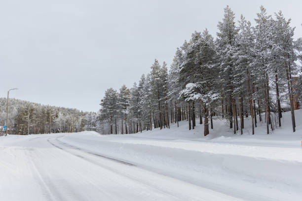 istock Snow covered icy curved road 1493963598