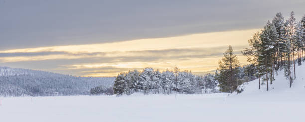 istock Panoramic photo of a winter landscape 1493963612