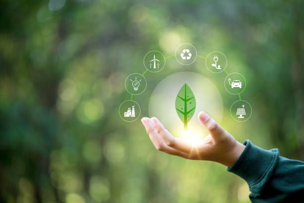 istock Hand holding green leaf with icons energy sources for renewable, sustainable development. Ecology concept. Technology with environment Icons over the Network connection on green background. 1493963666