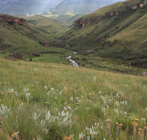 Giant's Castle mountain in Drakensberg, South Africa