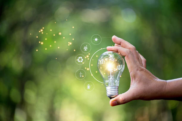 istock Hand holding light bulb against nature on green leaf with icons energy sources for renewable, sustainable development. saving energy and eco concept. 1493965274