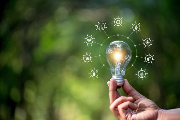 istock Hand holding light bulb against nature on green leaf with icons energy sources for renewable, sustainable development. saving energy and eco concept. 1493965369